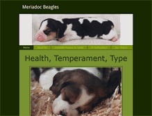 Tablet Screenshot of meriadocbeagles.com